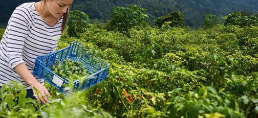 Agri Cluster Agri Cluster
