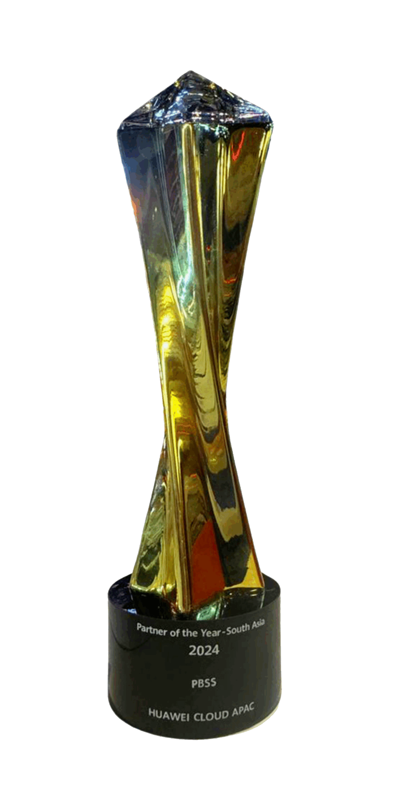 PBSS Huawei Partner Award